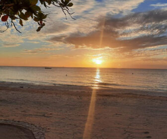 Jamaica CoCo Beach Pool Cam Resort Beach Vacation, Visit Caribbean Islands